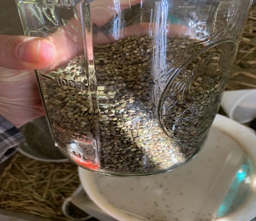 Seeds in Jar